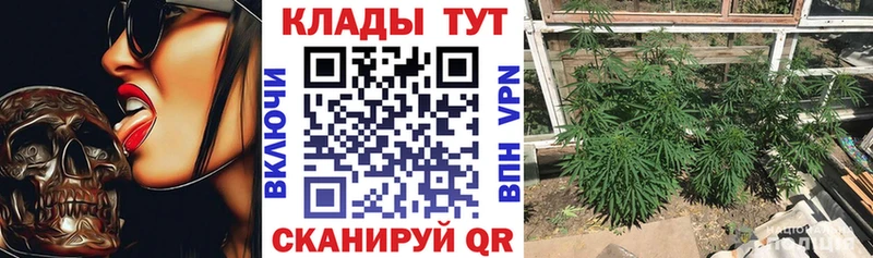 Купить закладку Великий Устюг ссылка на мегу как войти  Меф мяу мяу  МЕТАДОН  ГАШ  Бошки Шишки  Кокаин  Альфа ПВП  ТГК 