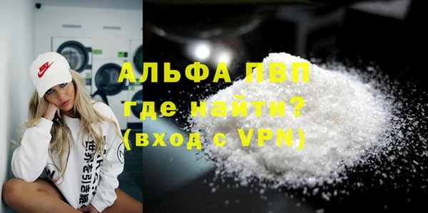 индика Инта
