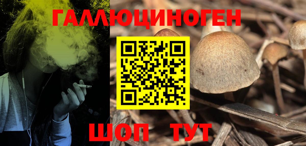 наркошоп  Великий Устюг  Псилоцибиновые грибы Magic Shrooms  Галлюциногенные грибы Cubensis 