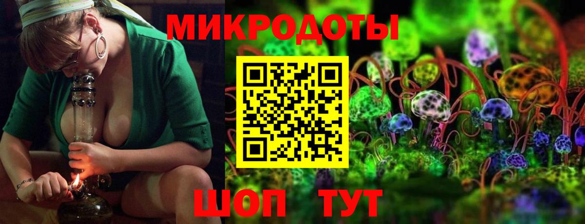 Псилоцибиновые грибы прущие грибы Великий Устюг