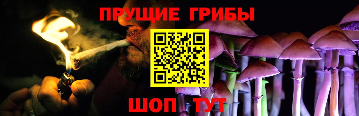 Галлюциногенные грибы Cubensis  Вход с VPN  Псилоцибиновые грибы мицелий  Великий Устюг 